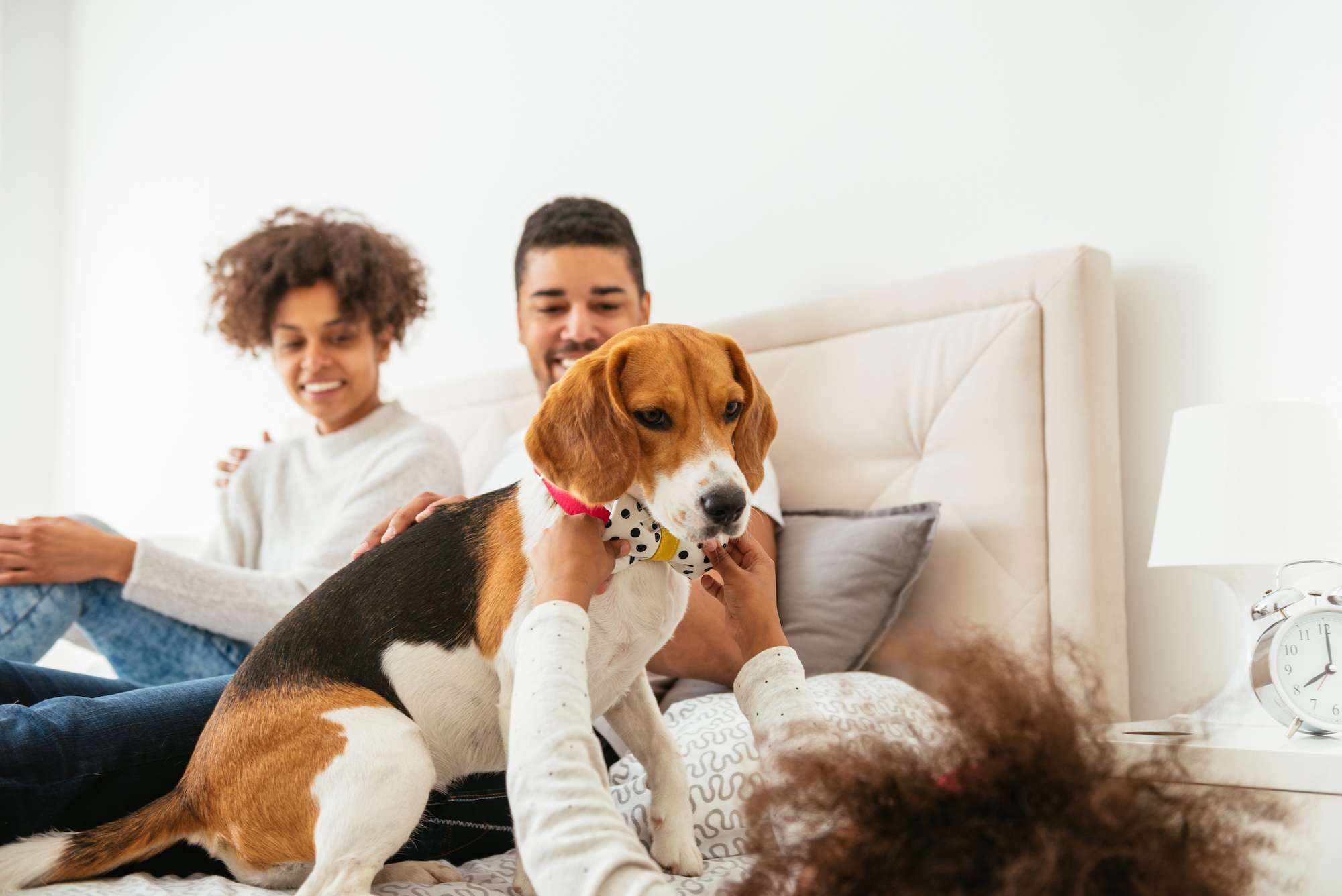 Pet friendly apartment living at Chateau de Ville